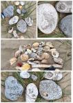 IMG_4544jpeg