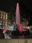 IMG_0559