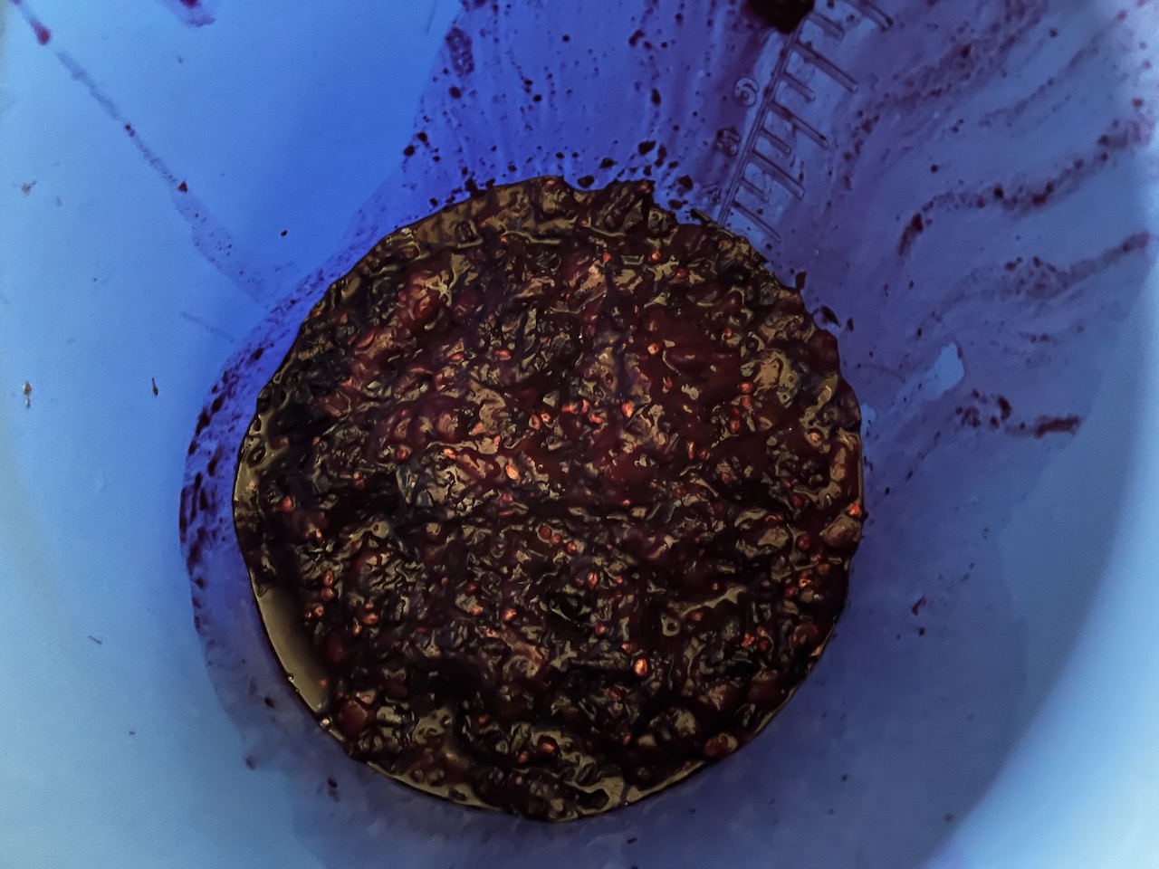 trau_05
